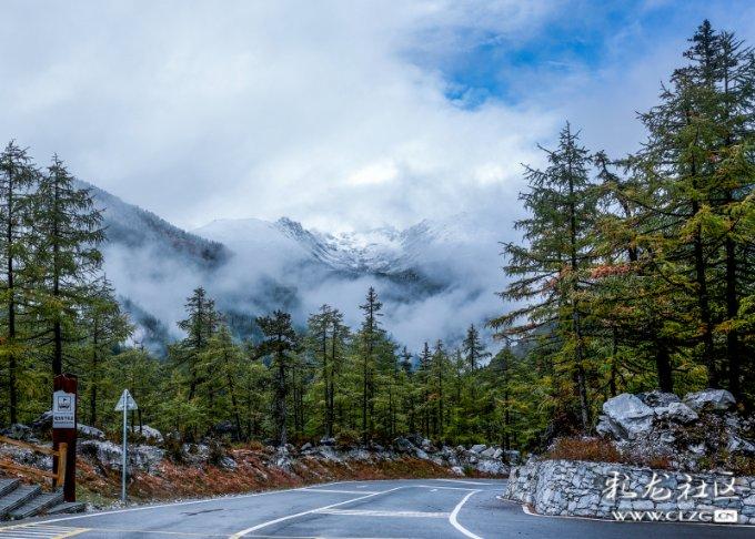 科学家研发光酶协调催化策略，两步反应即可合成化合物