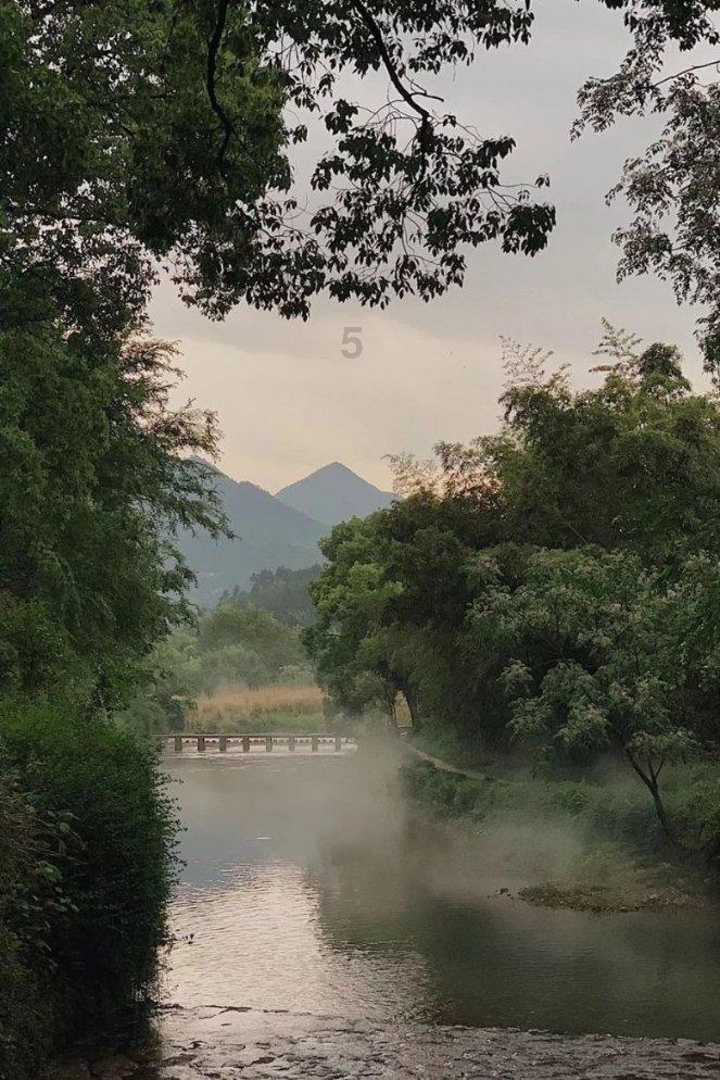 黑道圣徒4