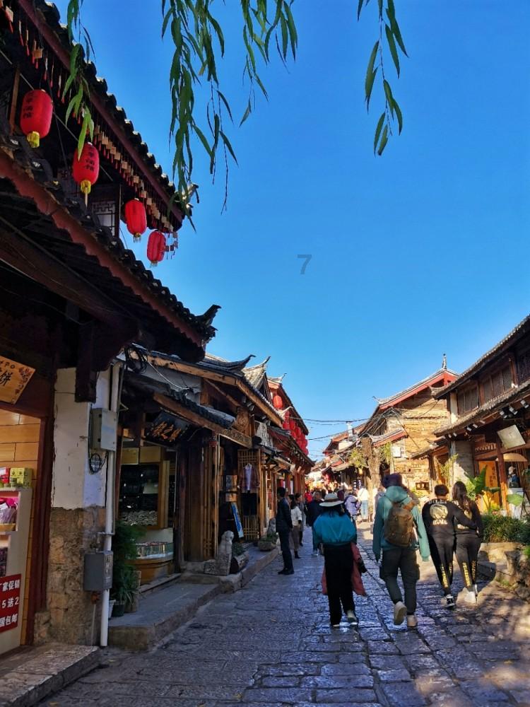 救援蓝色小鱼